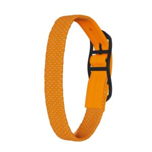 Neonorange