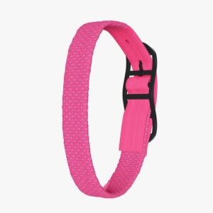Neonpink