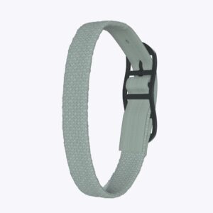Mintgrau